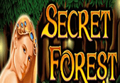 Secret Forest